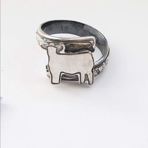 The Classy Trailer show steer ring